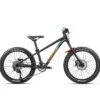 Orbea Laufey 20 H30 Noir/Arc En Ciel VTT Enfant 20' 1 Orbea Laufey 20 H30 Noir/Arc En Ciel VTT Enfant 20' -Mon Velo Magasin vtt enfant orbea laufey 20 h30 noir arc en ciel p image 44099 grande